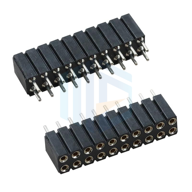 排母(圓針雙排)